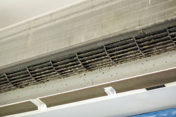 Reliable Skagway, AK Airduct Cleaning Solutions